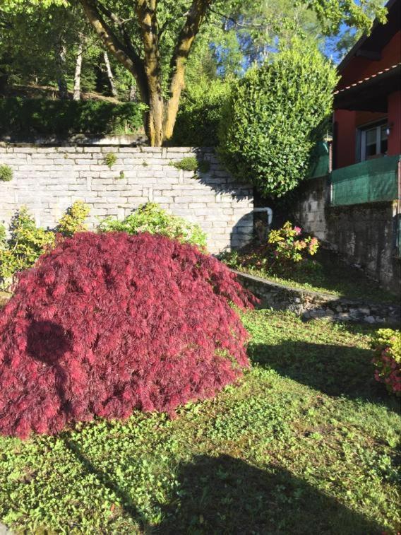 Villa Assunta Premeno Kültér fotó